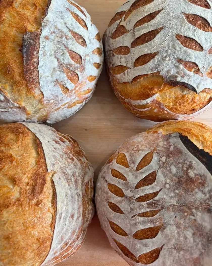 Four round loaves scored with a wheat stalk pattern